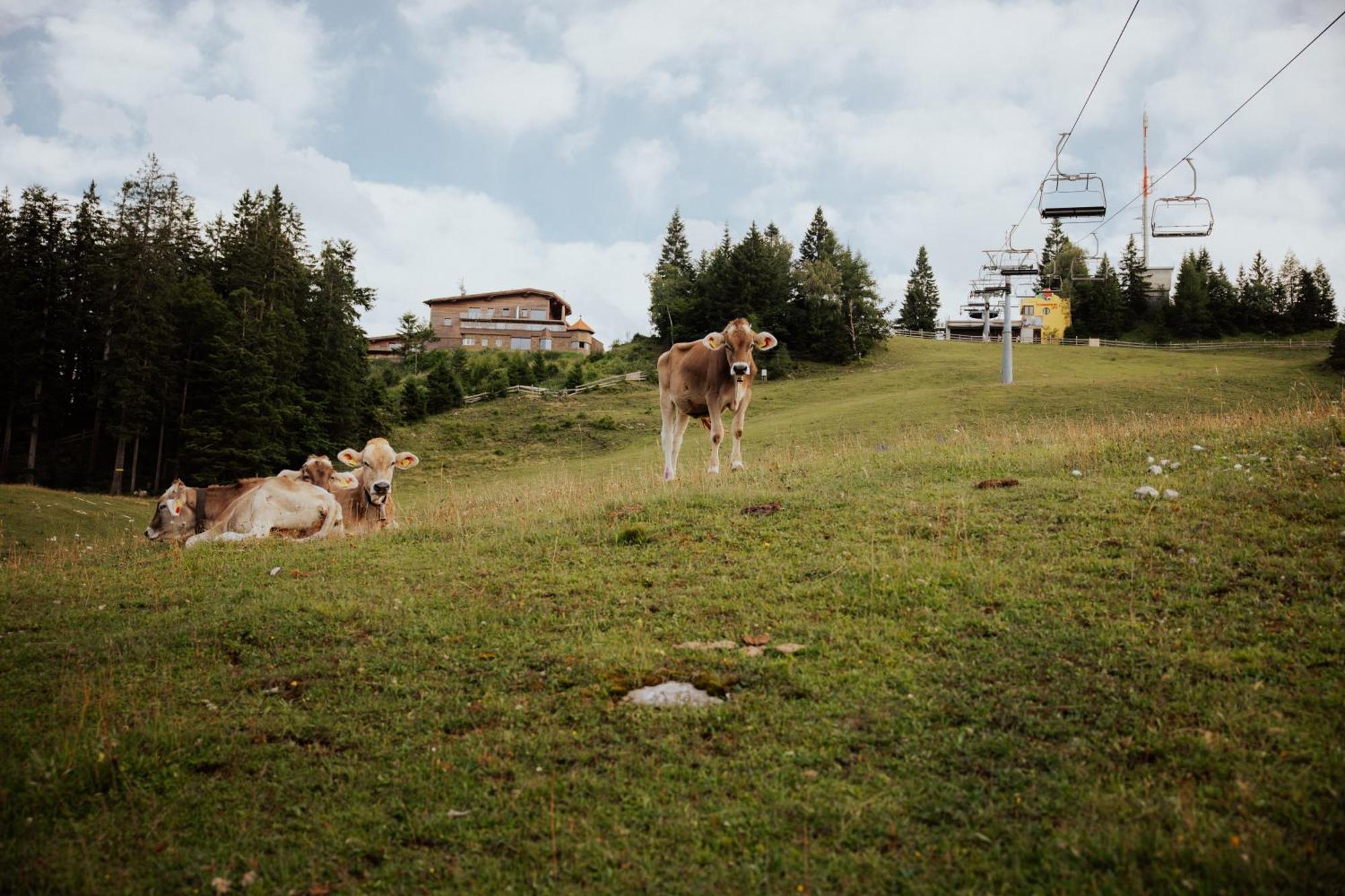 Chalet G12 - Mountain Luxury Apartments Ζέεφελντ Εξωτερικό φωτογραφία