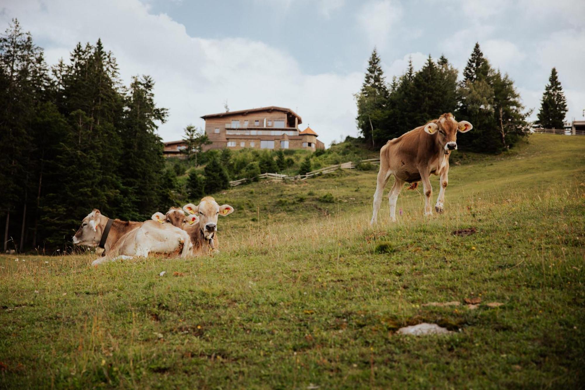 Chalet G12 - Mountain Luxury Apartments Ζέεφελντ Εξωτερικό φωτογραφία
